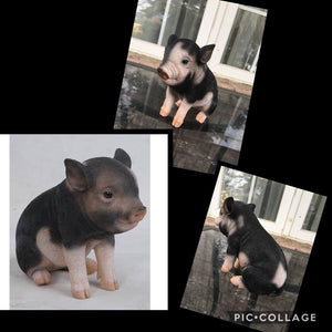 Pig Baby - Black