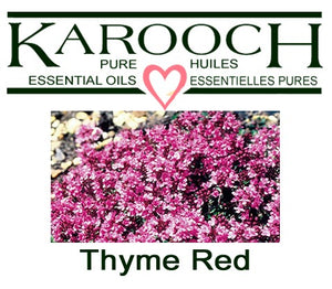 OIL ~ THYME RED ~ 10 ML