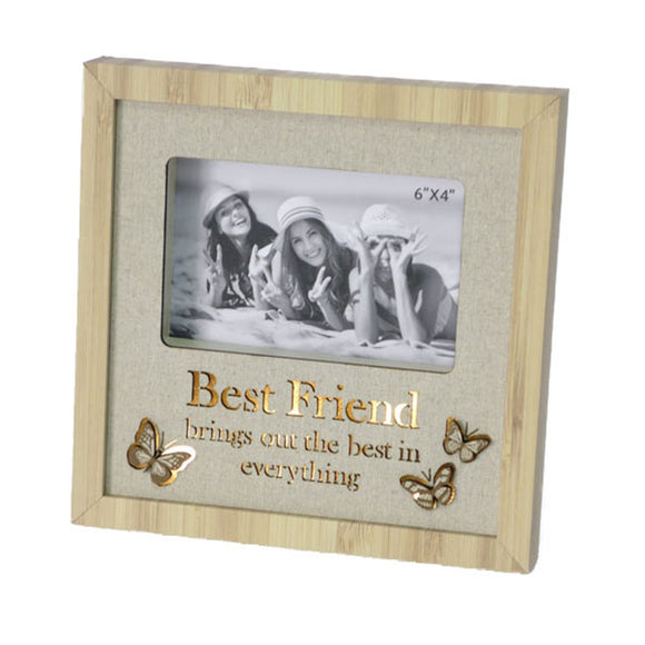 Best Friends - LED Butterfly Picture frame 6”x4”