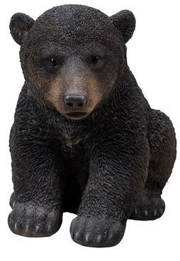 Black Bear Cub Sitting