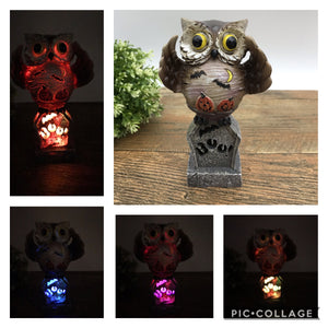 Halloween LED Owl “BOO”
