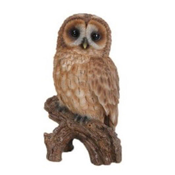 Owl Tawny On Stump -Small