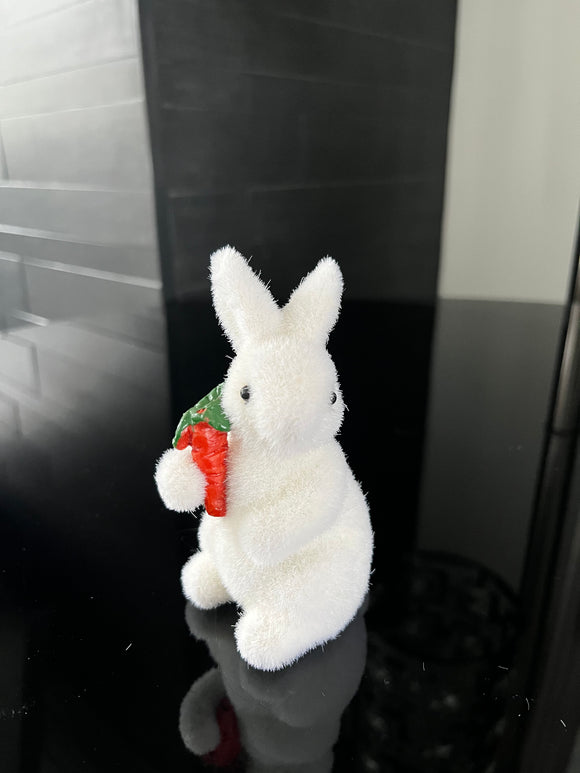 White Bunny Holding Carrot #2