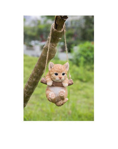 Kitten Hanging Tabby