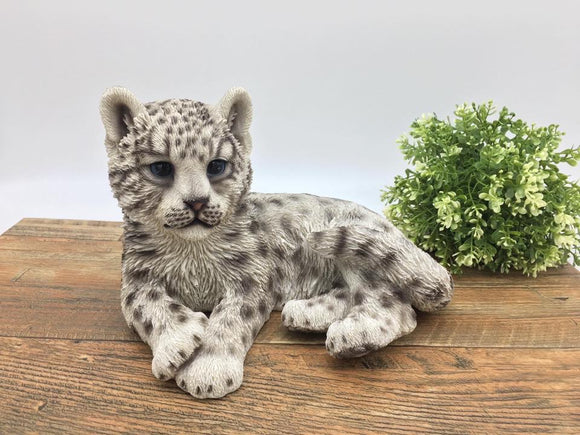 Snow Leopard Cub