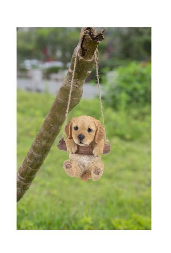 Golden Retreiver Puppy Hanging