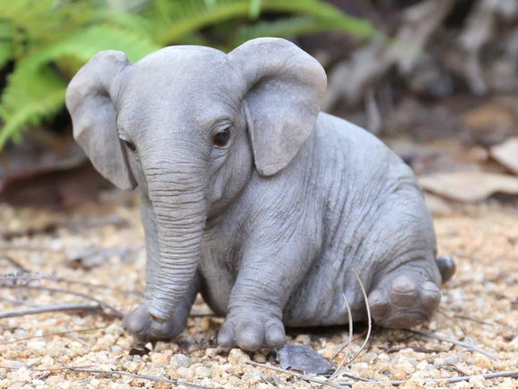 Small Chubby Elephant