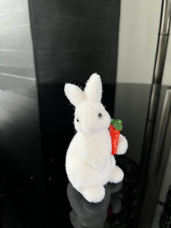 White Bunny Holding Carrot