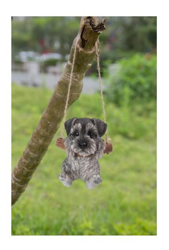 Schnauzer Puppy Hanging