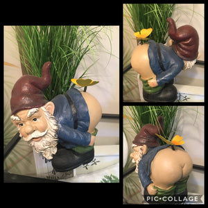 Gnome - Mooning with Butterfly